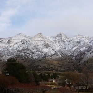 Meet your Posher, Kathy